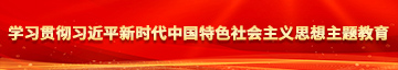狂操小骚逼小视频学习贯彻习近平新时代中国特色社会主义思想主题教育